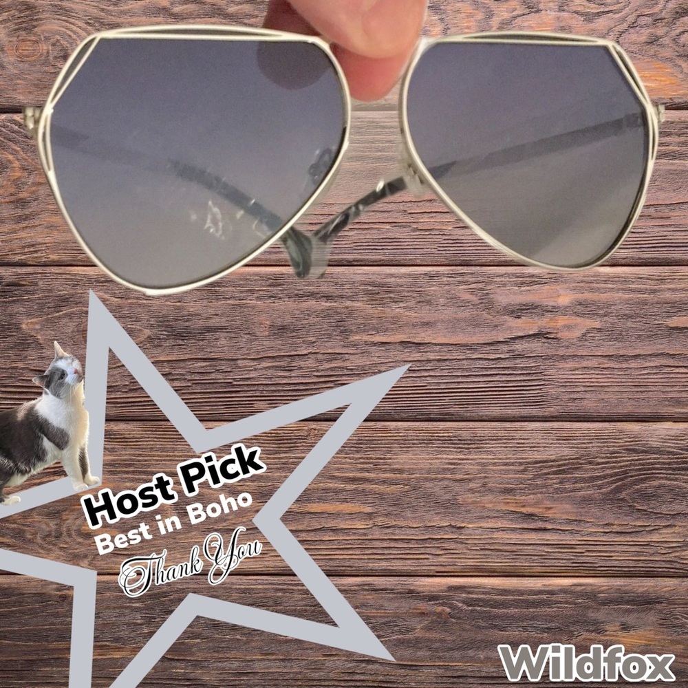 NWT $129 Wildfox Taj Mahal | Silver Oversized Aviator Sunglasses